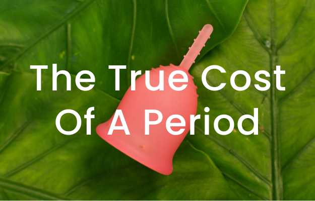 The True Cost of a period image