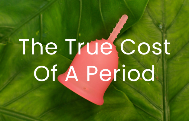 Menstrual cup on a leaf with the title The True Cost of A Period overlaid